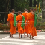 Mönche in Chiang Rai  / Thailand